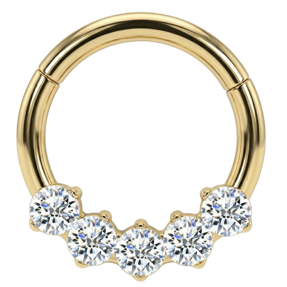 Segmentierter Clicker aus Titan mit 5 runden Zirkonias – Kreis