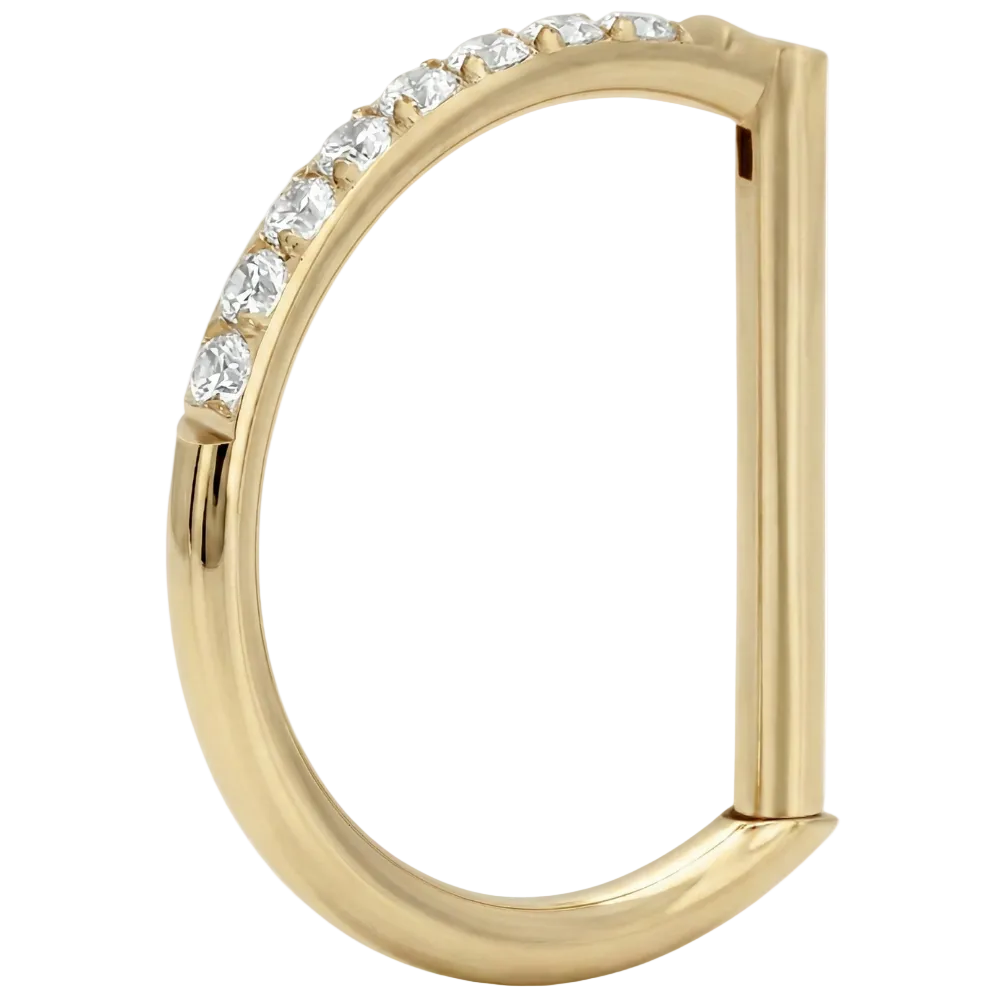 Clicker segmenté en titane avec zircons - Anneau en D