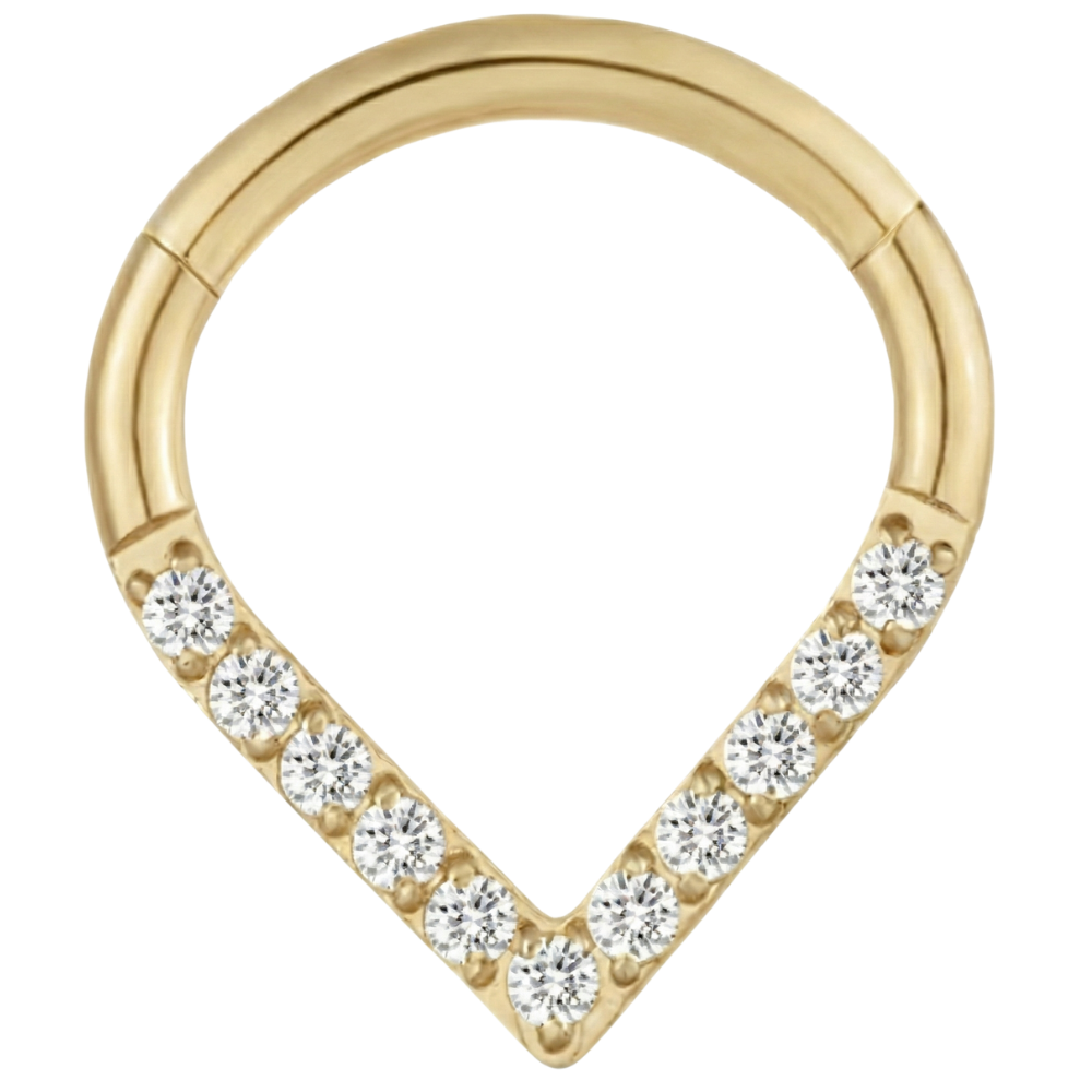 Titanium gesegmenteerde clicker met zirkonen - traan - piercingplaneet