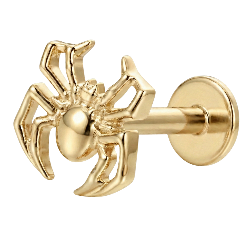Labret Décoratif en Titane - Araignée