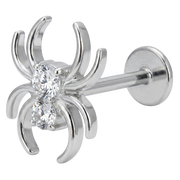 Dekoratives Titan-Labret – Spinne mit Zirkonen