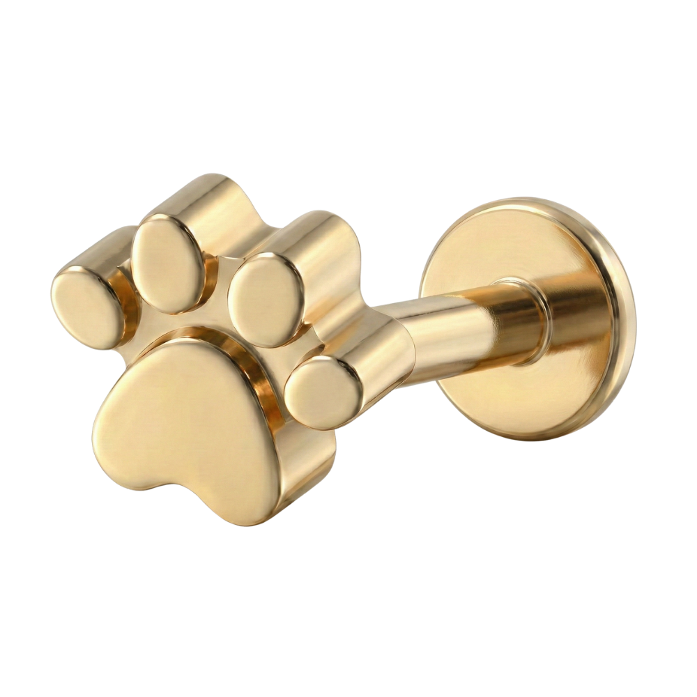 Titanium Decoratieve Labret - Poot