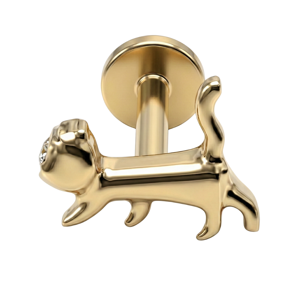 Labret Décoratif Titane - Chat