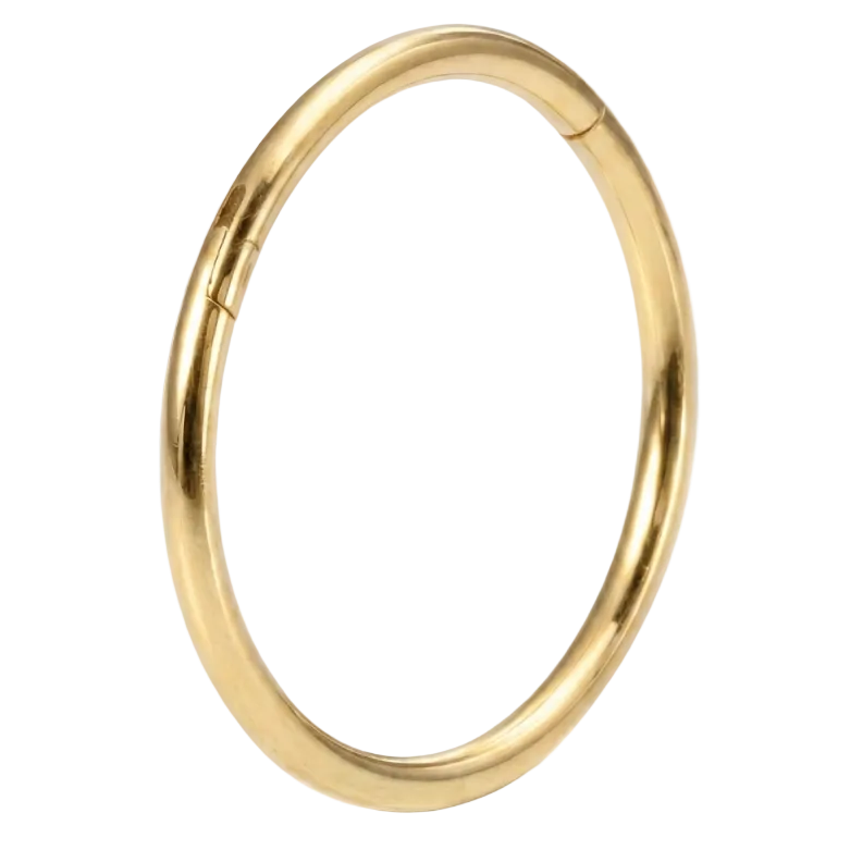 Titanium gesegmenteerde clicker - cirkel - doordringende planeet