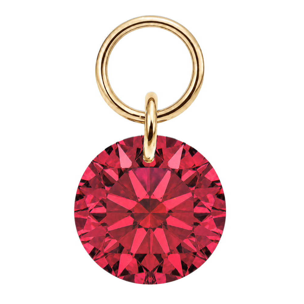 Titan Charm Piercing runder Anhänger Gold Rot