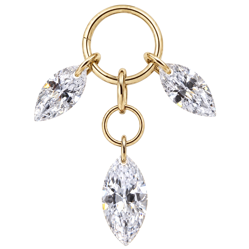 Titanium Charm hanger met drie gouden zirkonia's
