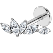 Tytanowy Labret Ozdobny Galazka 5 Cyrkonii 