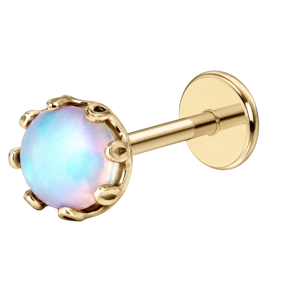 Titanium decoratieve volle maan Labret