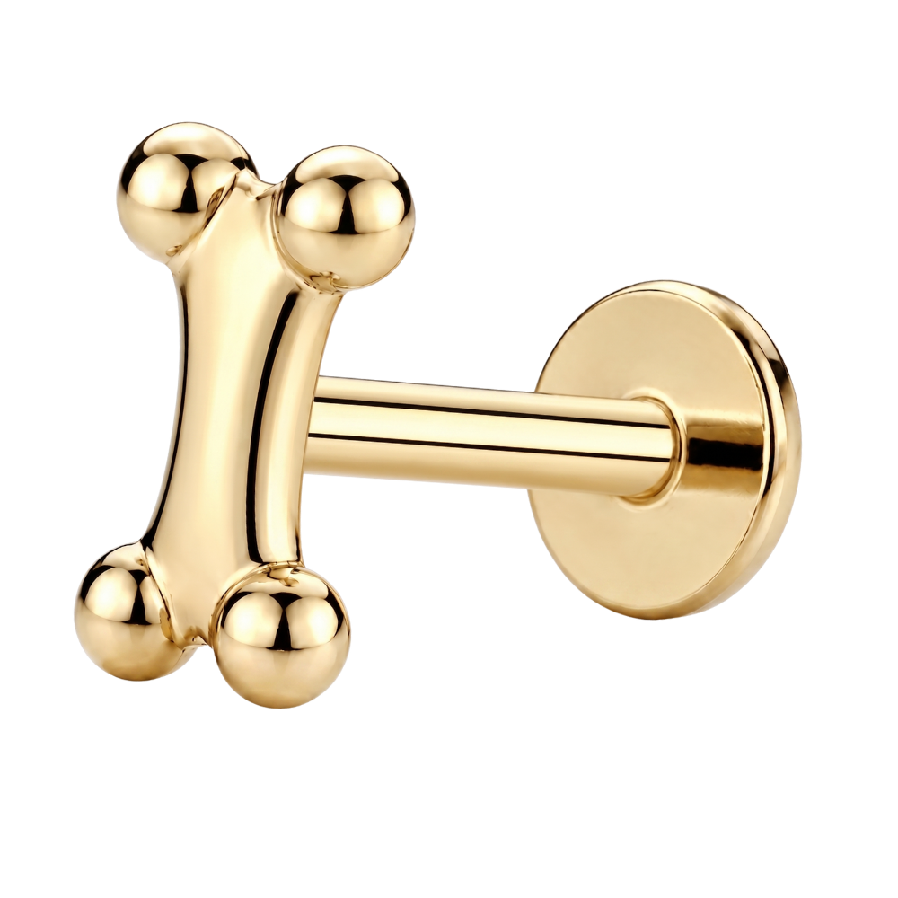 Tytanowy Labret Ozdobny Psia Kosc Zloty