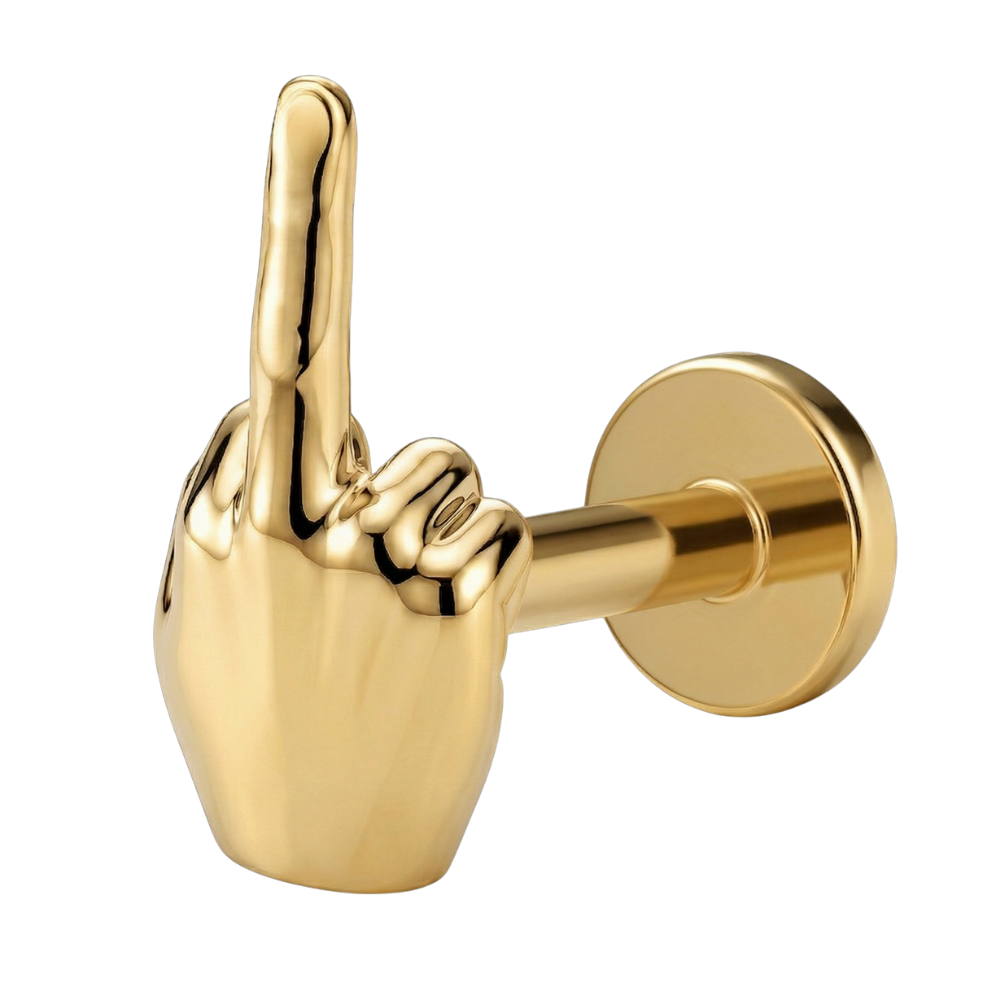 Titanium decoratieve Labret - F**K You
