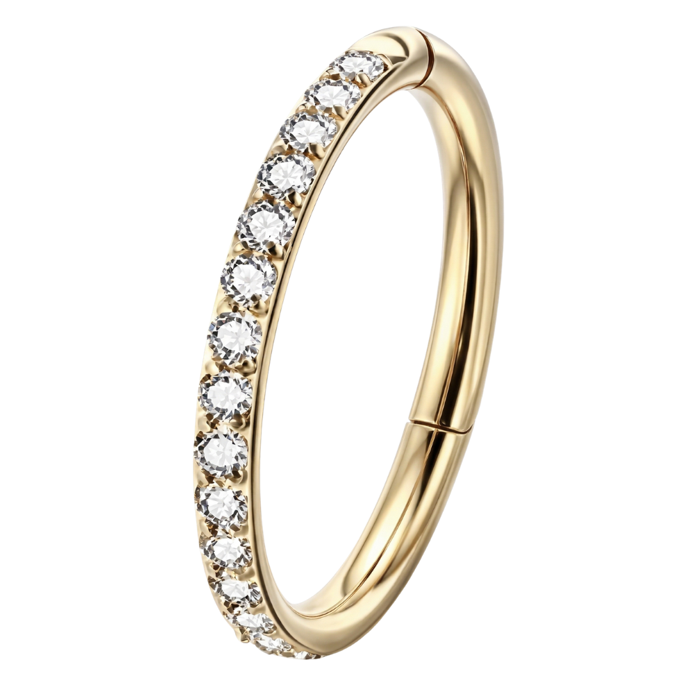 Stalen Segment Clicker Met Zirkonia's - Cirkel