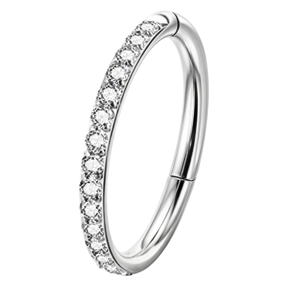 Stalen Segment Clicker Met Zirkonia's - Cirkel