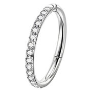 Clicker Segment Acier Avec Zircons - Cercle