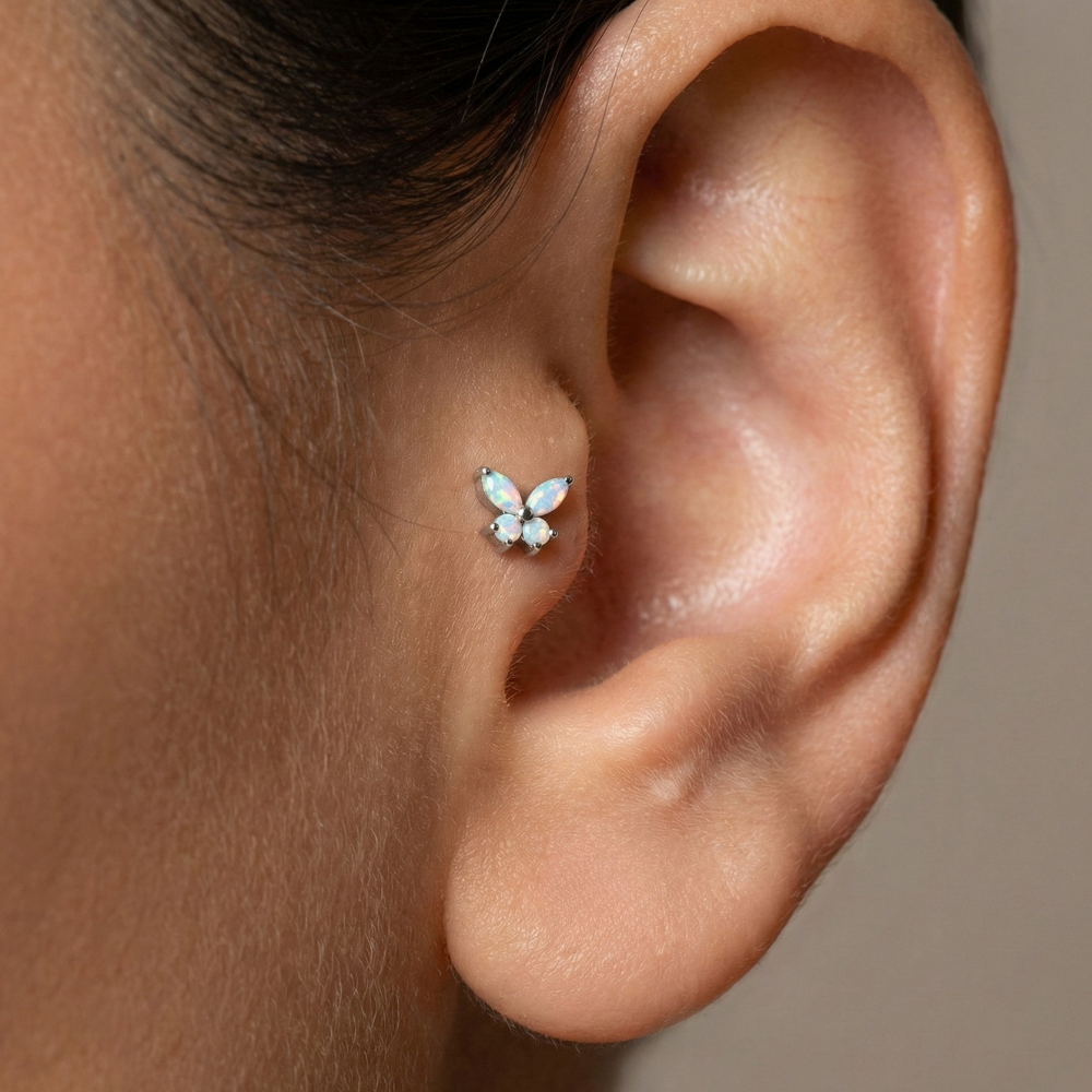 Tragus