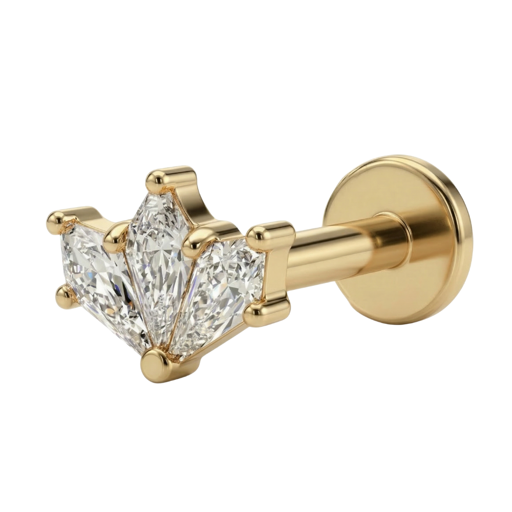 Titan-Labret mit einer Reihe goldener Zirkone